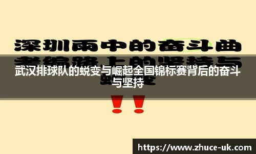 武汉排球队的蜕变与崛起全国锦标赛背后的奋斗与坚持